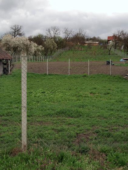 Teren de 3000 mp, în Călărași