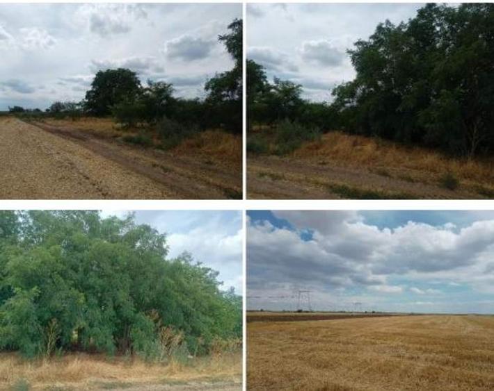 Teren agricol extravilan de 22810 mp, în Frumușani