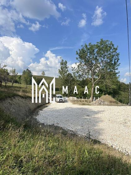 Teren Construcții intravilan de 14242 mp, în Sohodol