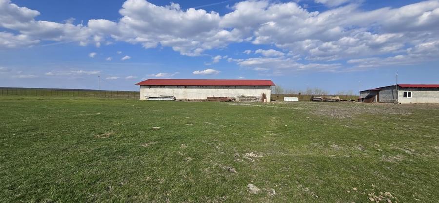 Teren Construcții intravilan de 60000 mp, în Călugăreni