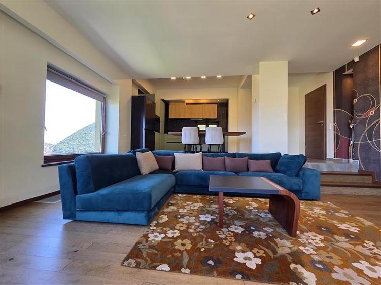 Apartament cu 3 camere decomandat, mobilat în Drumul Poienii