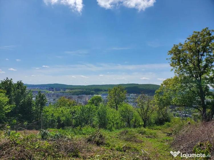 A/1640 De vanzare teren in Tg Mure? - Platou - 6