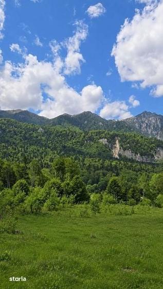 Teren de 1000 mp, în Cumpătu