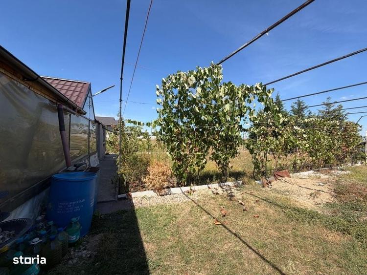Casă cu 3 camere cu Teren 1000 Mp în Aeroport