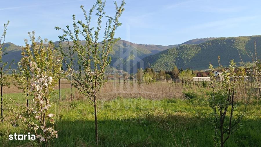 Teren de 1409 mp, în Orlat