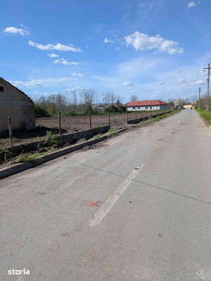 Teren de 3954 mp, în Istria