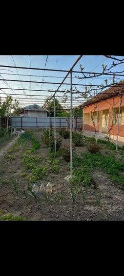 Casă cu 3 camere în Central