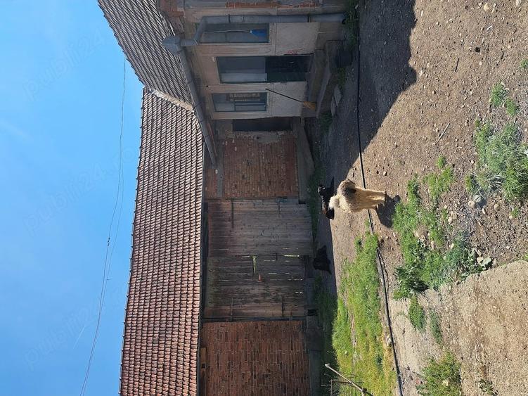 Casă cu Teren 2400 Mp în Târgoviște