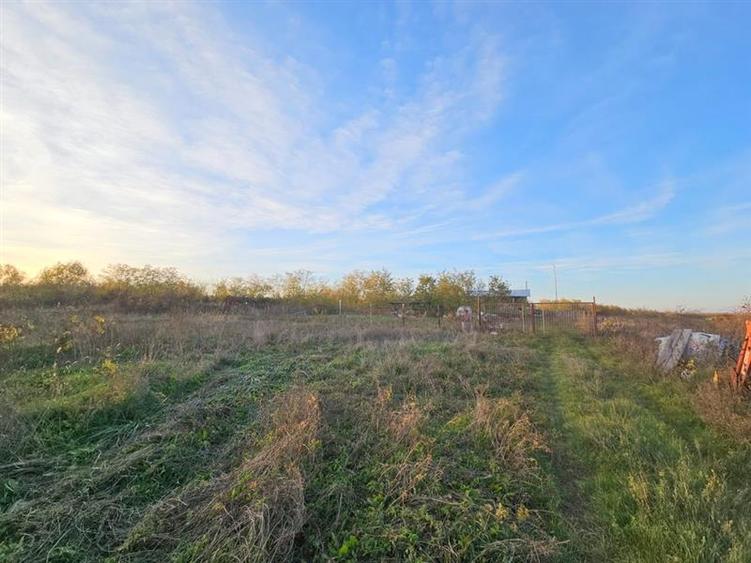 Teren agricol extravilan de 10000 mp, în 9 Mai