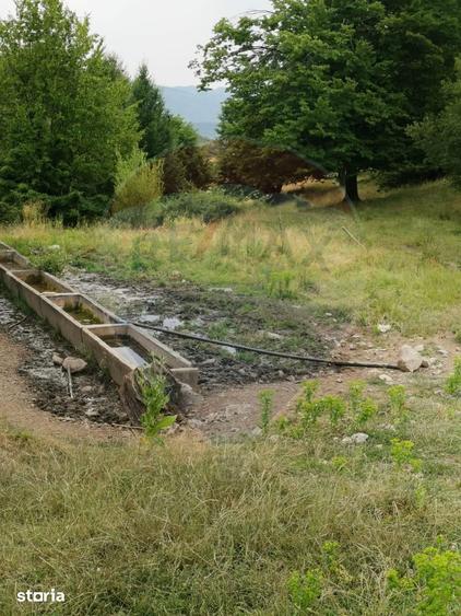 Teren de 5400 mp, în Mănești