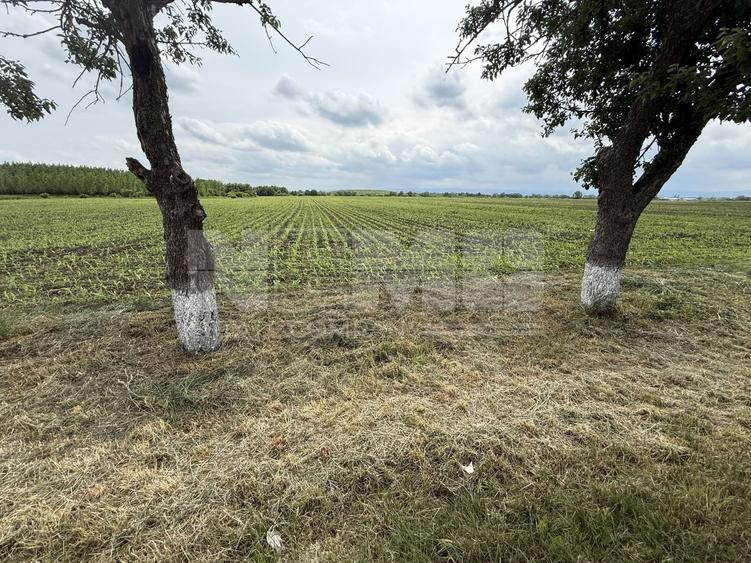 Teren agricol extravilan de 3750 mp, în Central