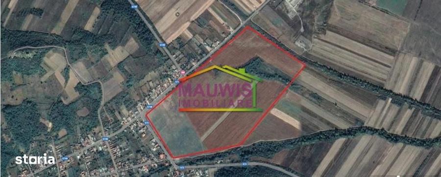 Teren de 500000 mp, în Borăscu