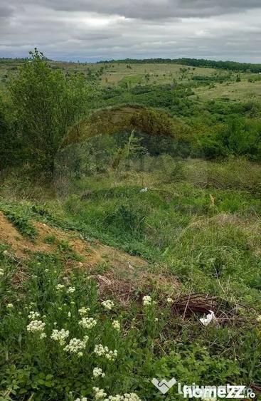 Teren în Paleu