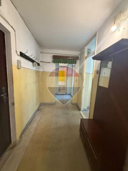 Apartament cu 2 camere decomandat în Brazda lui Novac