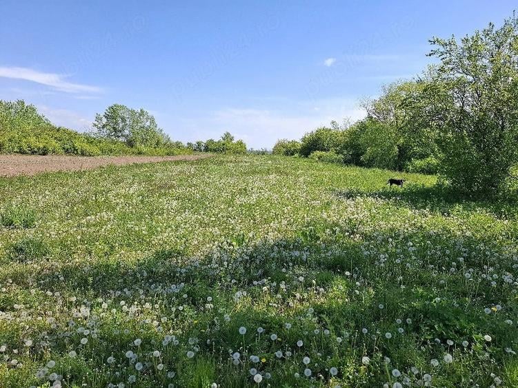 Teren de 2000 mp, în Românești