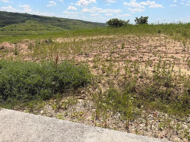 Teren de 602 mp, în Dorobanț