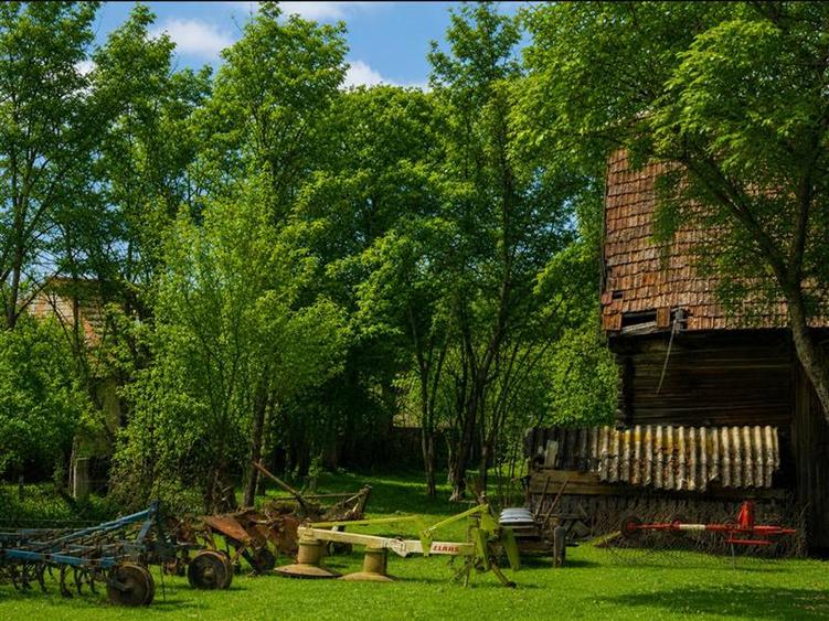 Casă cu 2 camere cu Teren 4831 Mp în Țufalău