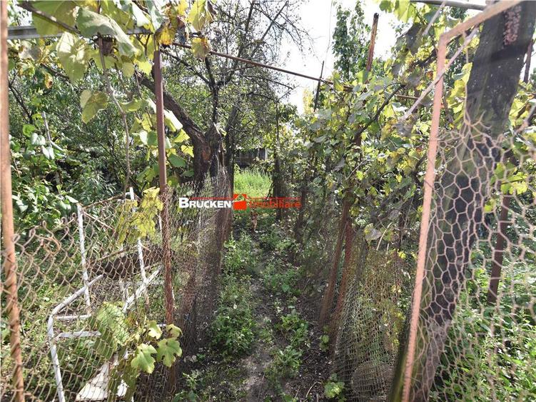 CASA IN ZONA GARII | MARGHITA - 12