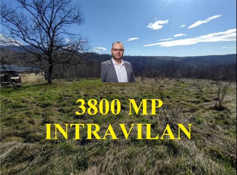 Teren Construcții intravilan de 3800 mp, în Vest