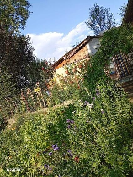 Casa de vacanta la tara - 2