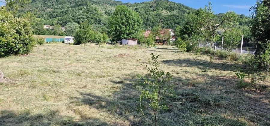 Teren de 3034 mp, în Bejan