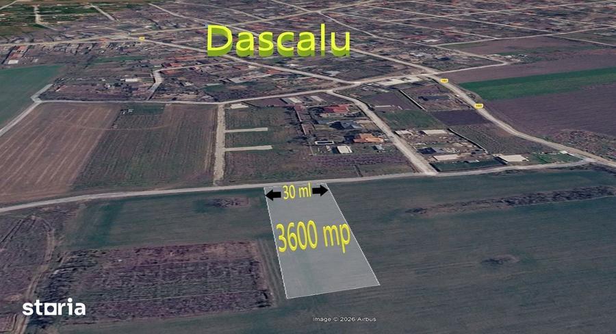 Teren de 3600 mp, în Dascălu