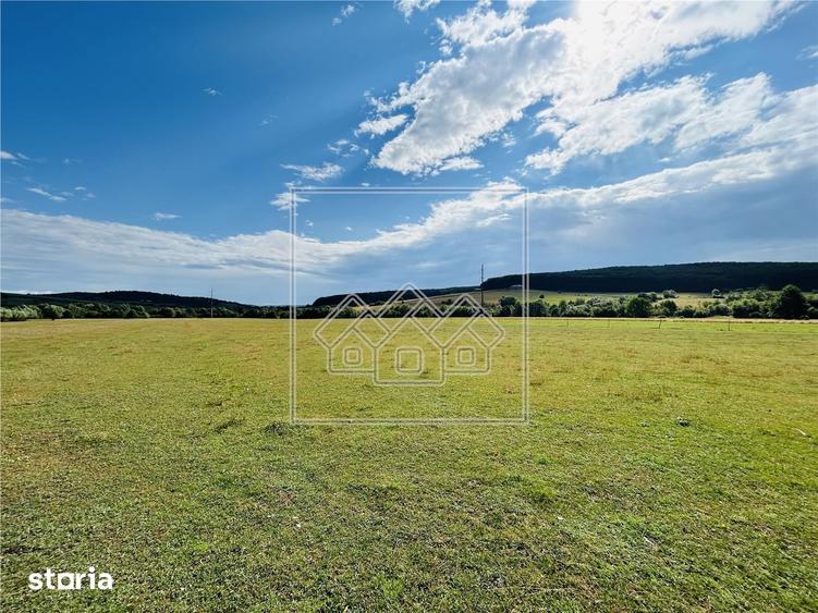 Teren intravilan, 5861 mp - Tocile - 3