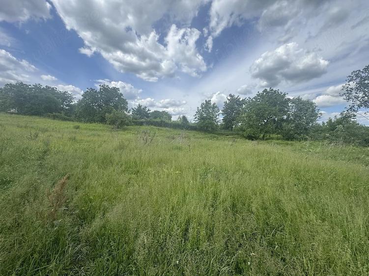Teren de 700 mp, în Goruni
