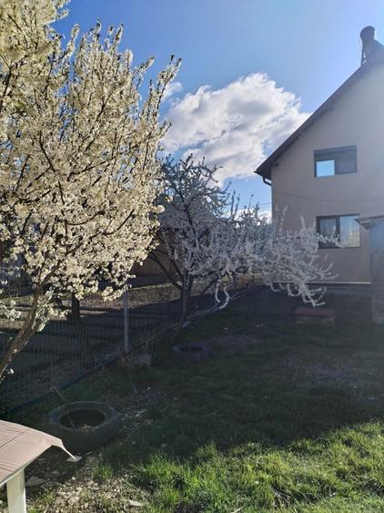 Casă cu 4 camere cu Teren 1600 Mp în Valea Stânii