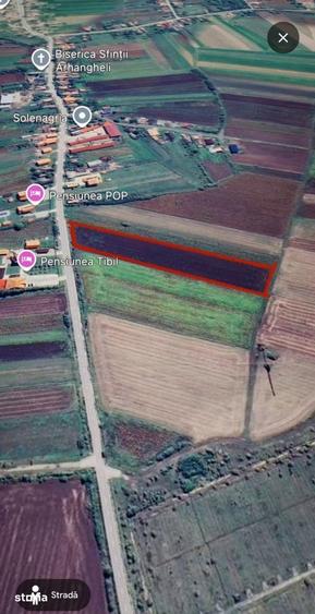 Teren extravilan 10.000 mp Acas, jud. Satu Mare - 2