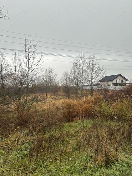 Teren de 9000 mp, în Fețeni