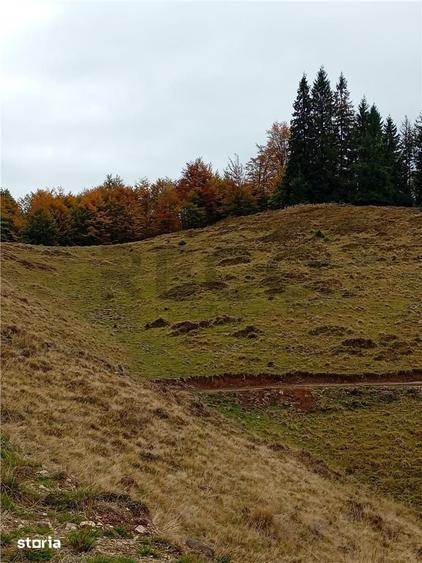 Teren de 2000 mp, în Curățele