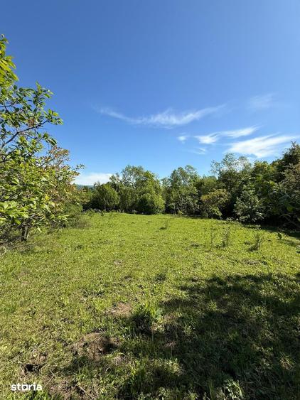 Teren de 3429 mp, în Poiana