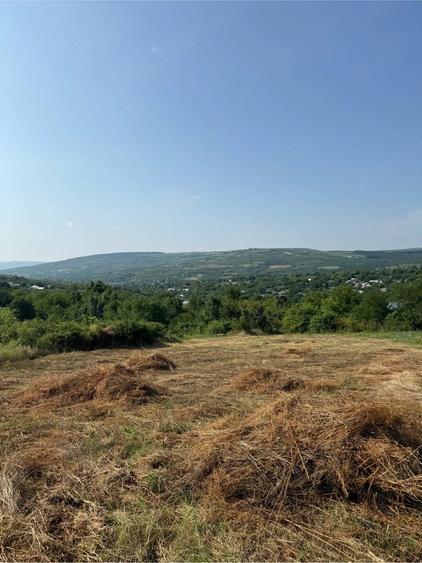 Teren de 4200 mp, în Tomești