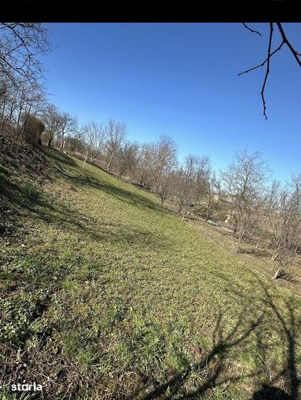 Teren de 960 mp, în Păulești