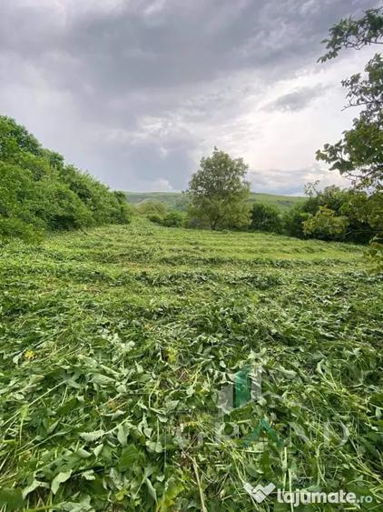 Teren 2200 mp, in Radaia, com Baciu - Radaia (Cluj) - 1