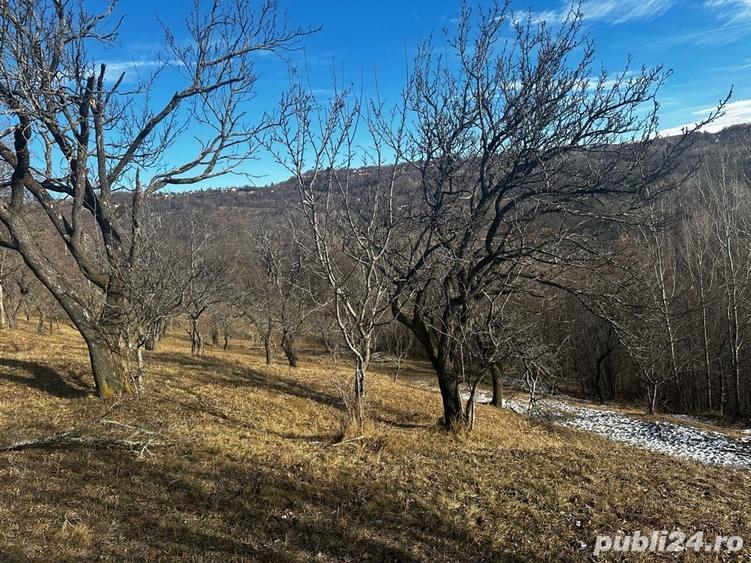 Teren de 8040 mp, în Mățău