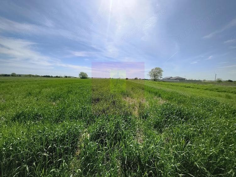 Teren de 2200 mp, în Dărăști-Ilfov