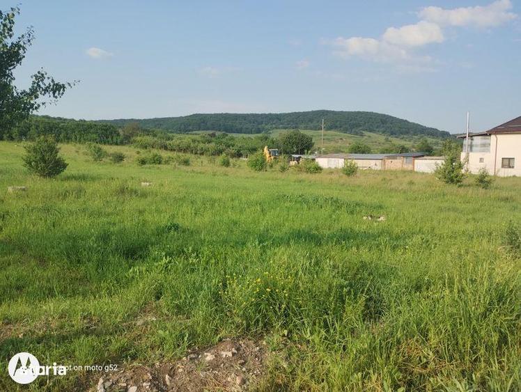 Teren de 4200 mp, în Aghireșu