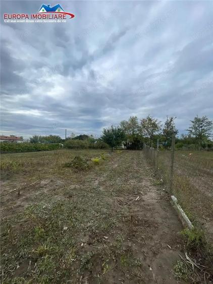 Teren de 1000 mp, în Iazurile