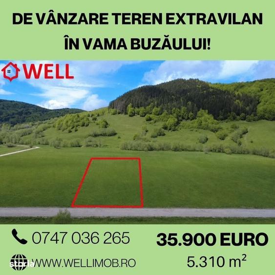 Spațiu comercial, în Vama Buzăului
