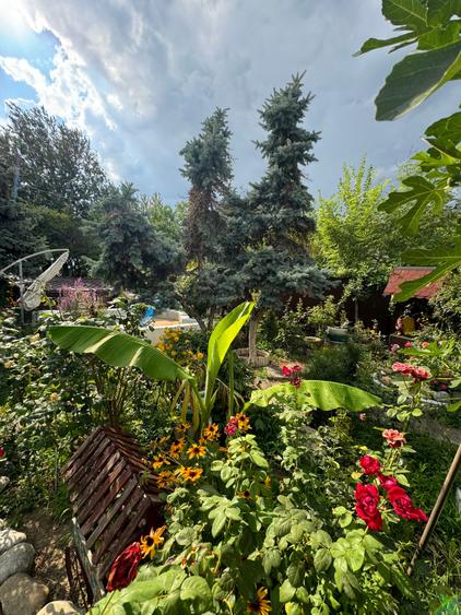 Casă cu 9 camere cu Piscina în Băneasa
