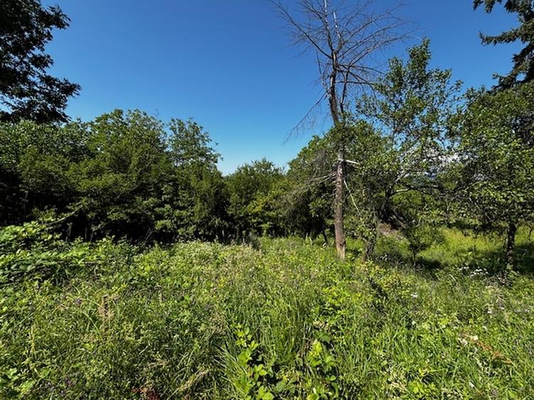 Teren extravilan de 3100 mp, în Dăești