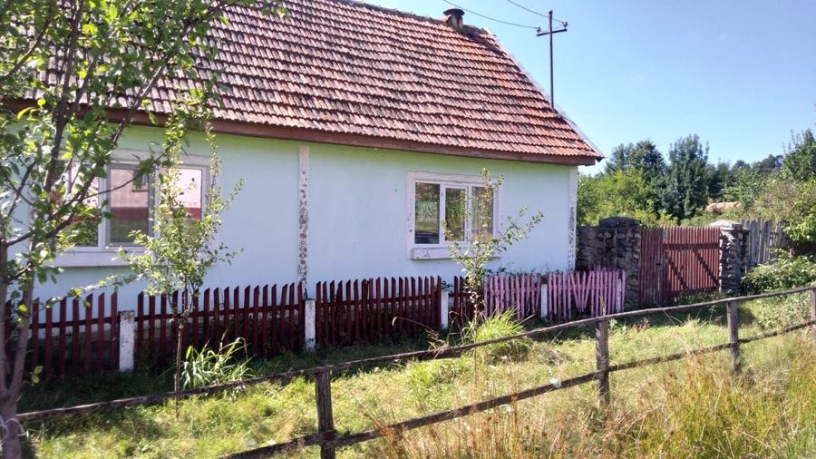 Casă cu 4 camere în Susani