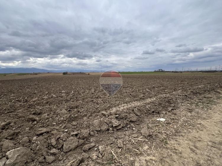 Teren agricol extravilan de 2800 mp, în Șelimbăr