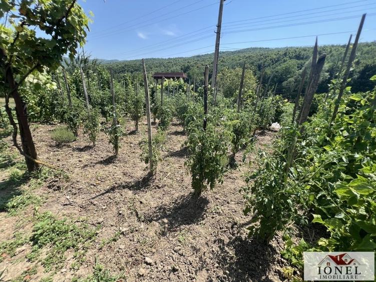 Casă individuală cu 3 camere cu Teren 1338 Mp în Ampoița