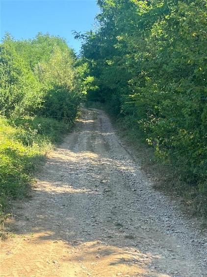 Teren agricol extravilan de 21300 mp, în Lăzăreni