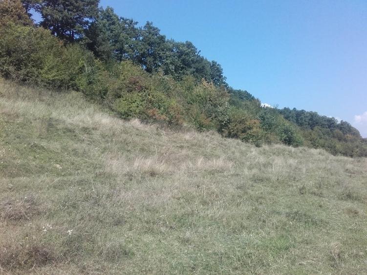 Teren Construcții extravilan de 3500 mp, în Bălești