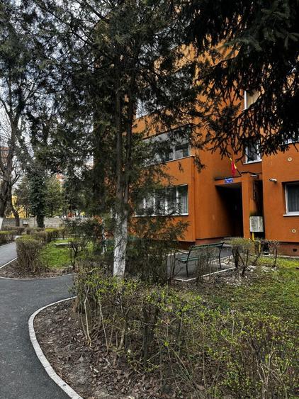 Apartament cu 2 camere semidecomandat în Dâmbu Pietros