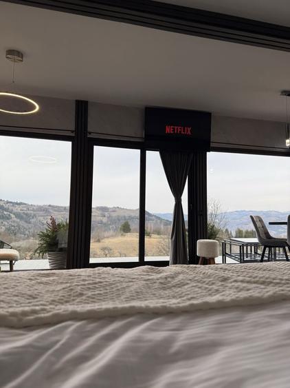 Cabana de inchiriat Bistra - 8